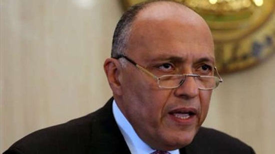 Cairo working to counter foreign 'plots' in the region, FM